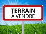 Immobilier Reinhardsmunster