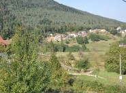 Immobilier Wangenbourg
