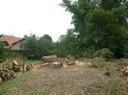 Terrain Still